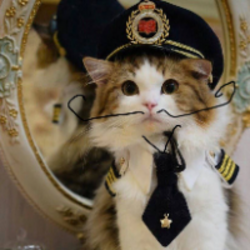 Логотип Neuracat