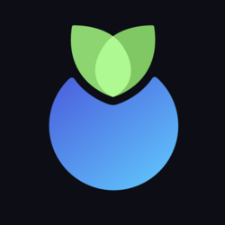 Logo Blueberry