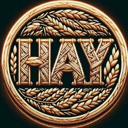 Logo HayCoin
