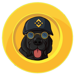 Logo de binancedog
