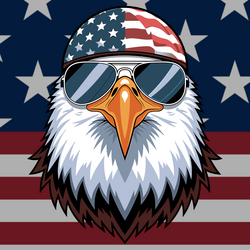 Made In America 图标