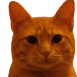 Bitcoin Cat-logo