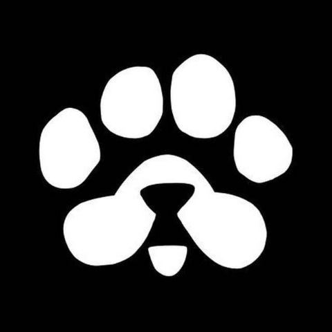 PAWS