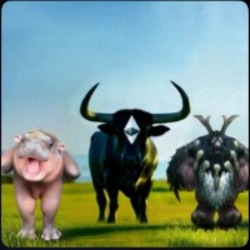 Moo Cow Logo