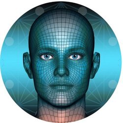Metaverse Face