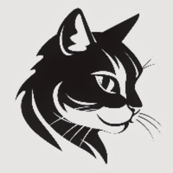 Meow on Zora