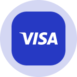 Visa Logotip