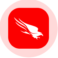 CrowdStrike 图标