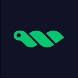 WORM