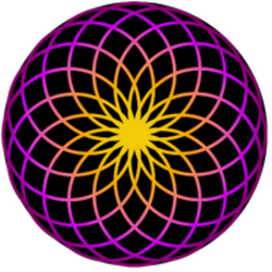 TORUS
