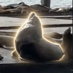 Logo Chonkers