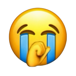 SON 图标