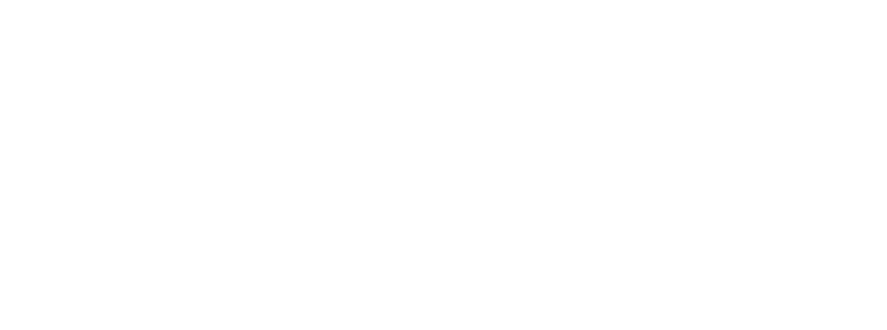 Intuitive Machines