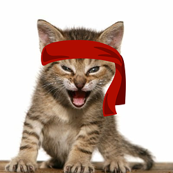 Red Kitten Crew Λογότ.