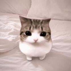 Meowpin