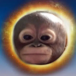 BUDI