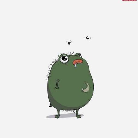 Pistacio סֵמֶל