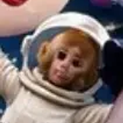 moonkey