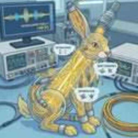 Quantum White Rabbit