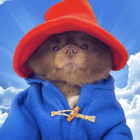 BERT/USDT