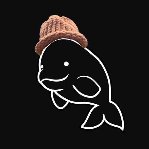 BELUGA/USDT